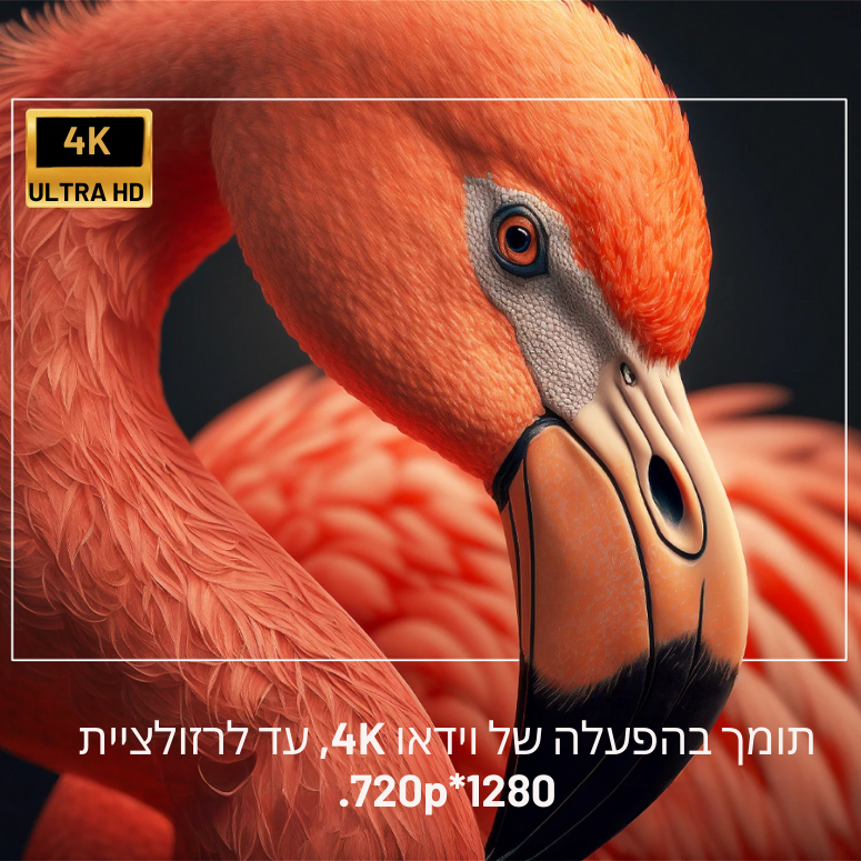 אוזו-שופ